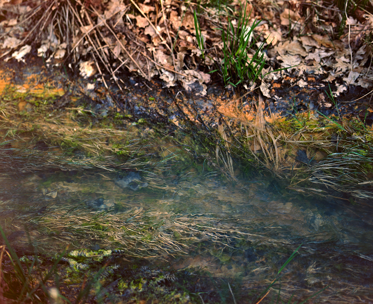 <p>2025<br />
TRADITION (2014-25)</p>
