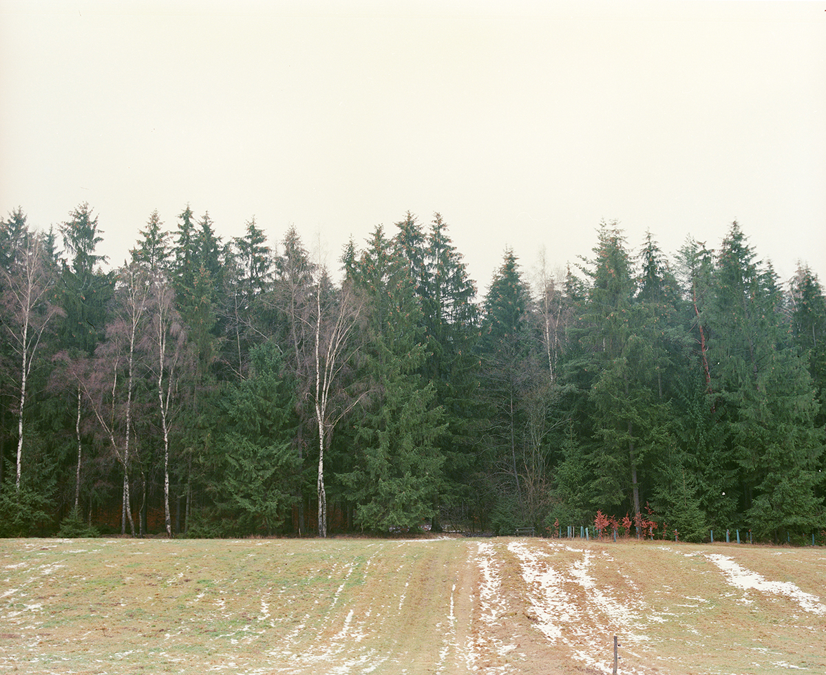 <p>2025<br />
TRADITION (2014-25)</p>
